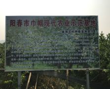 2018阳春志柠农业基地
