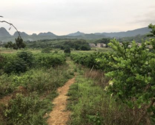 种植环境