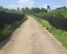 种植场地